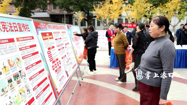 渌口区开展第十二个国家宪法日法治宣传活动