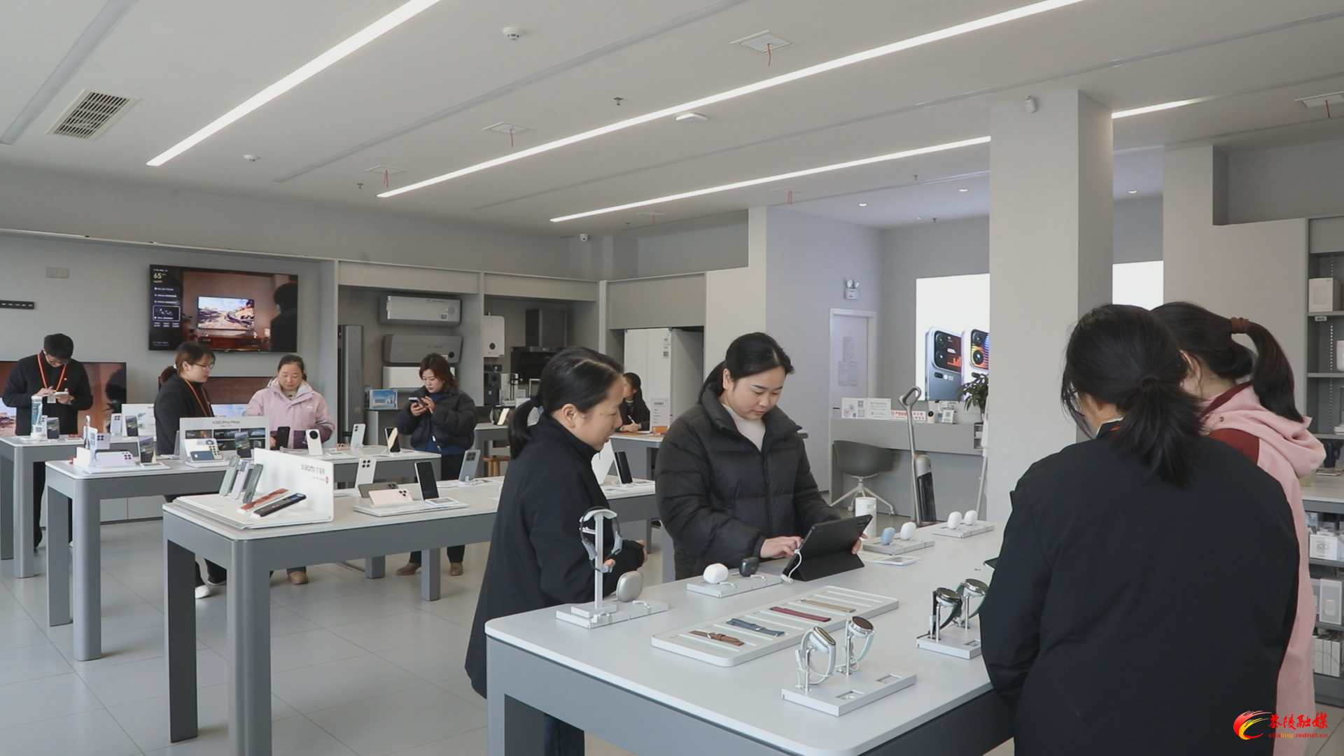 【阅卷•民生可感】国补焕新升级 家电数码产品掀起绿色消费潮