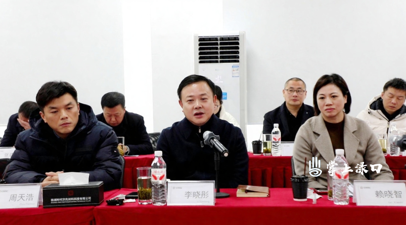 李晓彤 赖晓智到株洲时代华先材料科技有限公司调研
