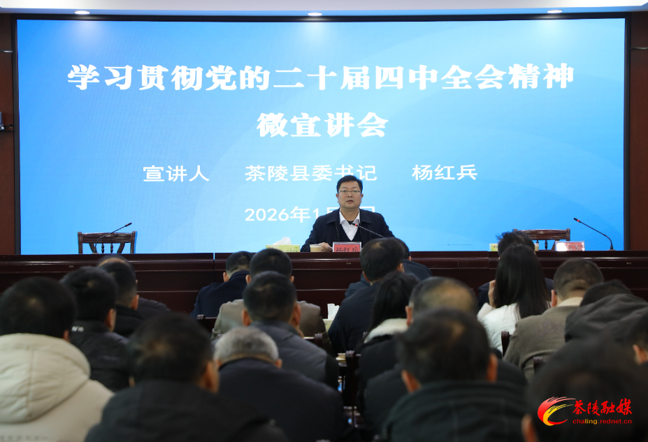 杨红兵到严塘镇开展学习贯彻党的二十届四中全会精神微宣讲