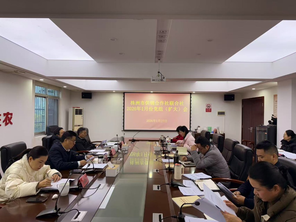 市供销社召开2026年1月党组（扩大）会议