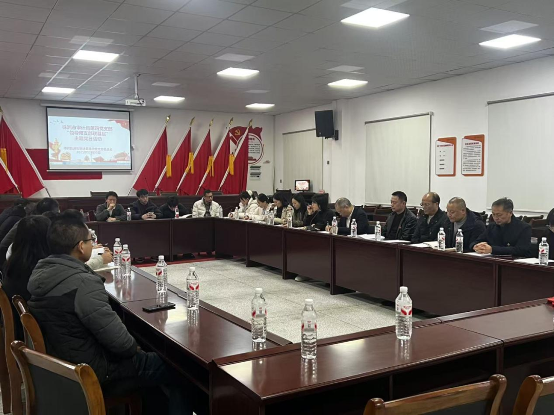 市审计局第四党支部开展领导带支部联基层活动