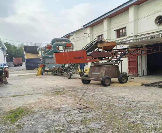 区发改局开展节前安全生产暨地方储备粮监督检查