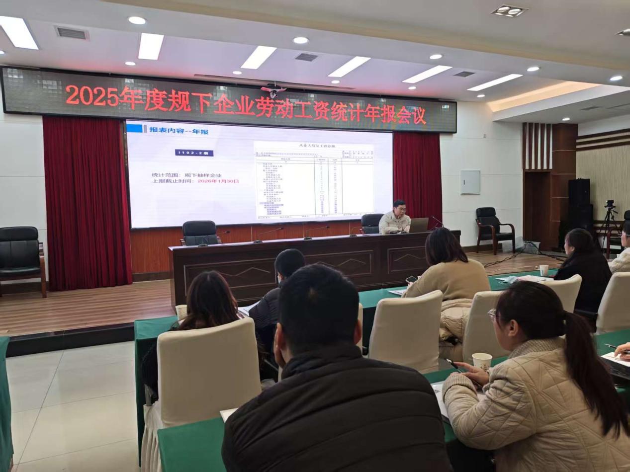 区统计局召开2025年度规下企业劳动工资统计年报培训会议