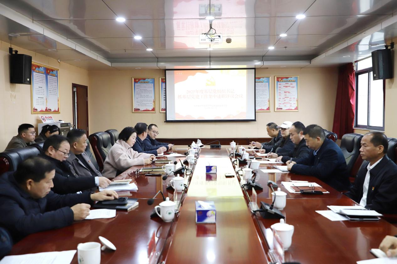 株洲市生态环境局召开2025年度基层党组织书记抓基层党建工作集中述职评议会议