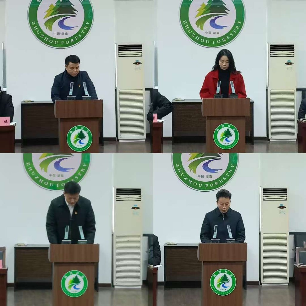 述责明方向 聚力护青山——市林业局召开2025年支部书记述职评议会议
