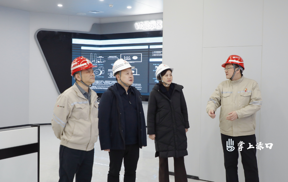 李晓彤 赖晓智赴大唐华银株洲2×100万千瓦扩能升级改造项目考察