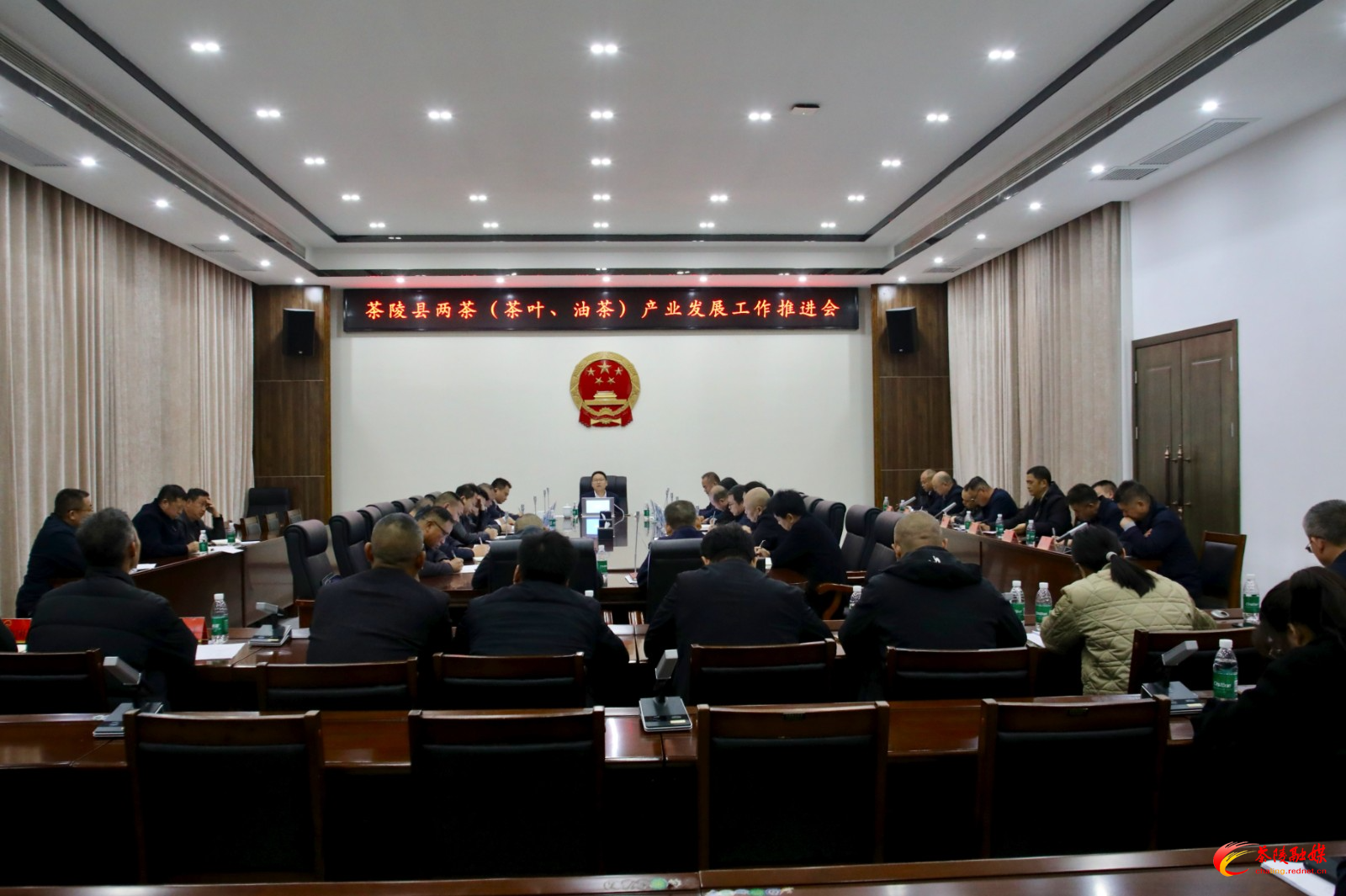 茶陵县两茶（茶叶、油茶）产业发展工作推进会召开