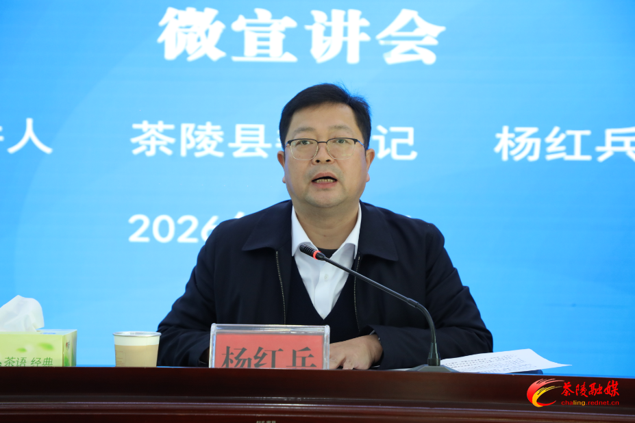 杨红兵到严塘镇开展学习贯彻党的二十届四中全会精神微宣讲