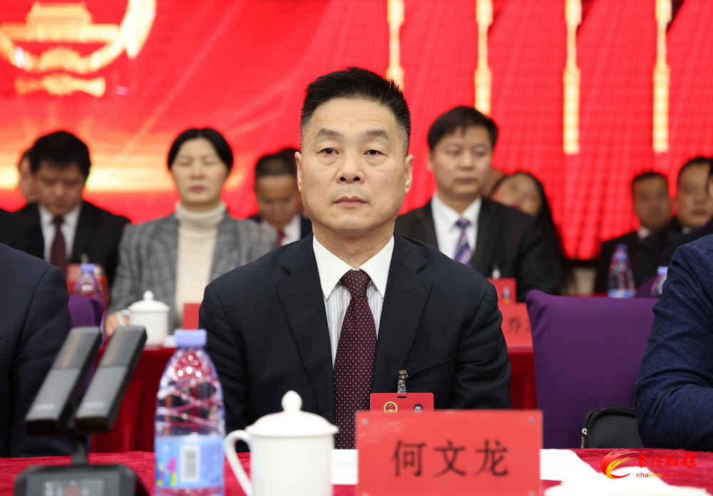 茶陵县第十八届人民代表大会第七次会议胜利闭幕