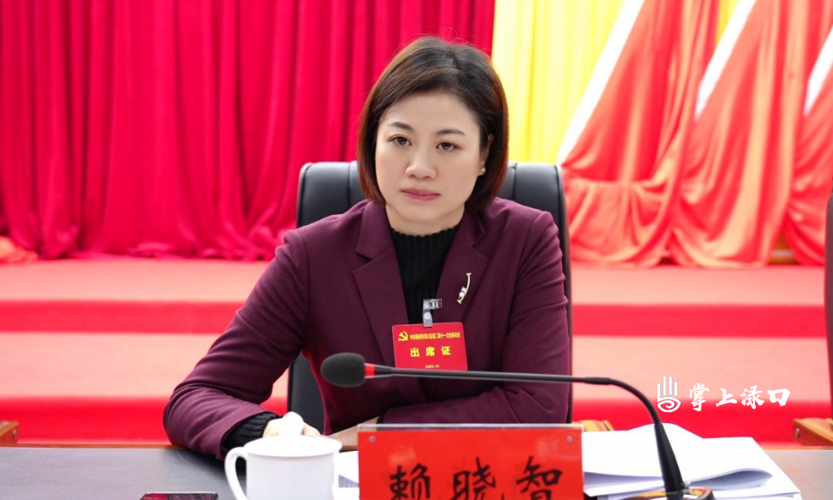 中国共产党株洲市渌口区第二届委员会第十一次全体会议召开