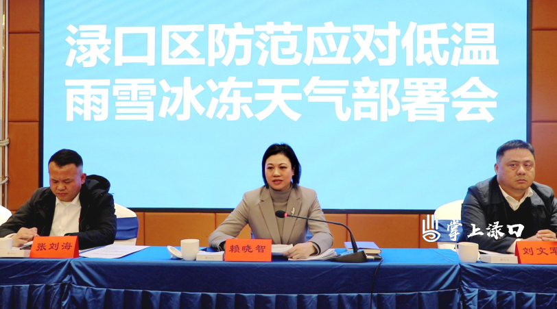 渌口区应安委2026年第一次全体成员会议召开