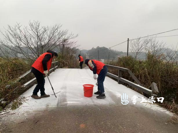 以“动”制“冻” 南洲镇多措并举筑牢低温雨雪防护网