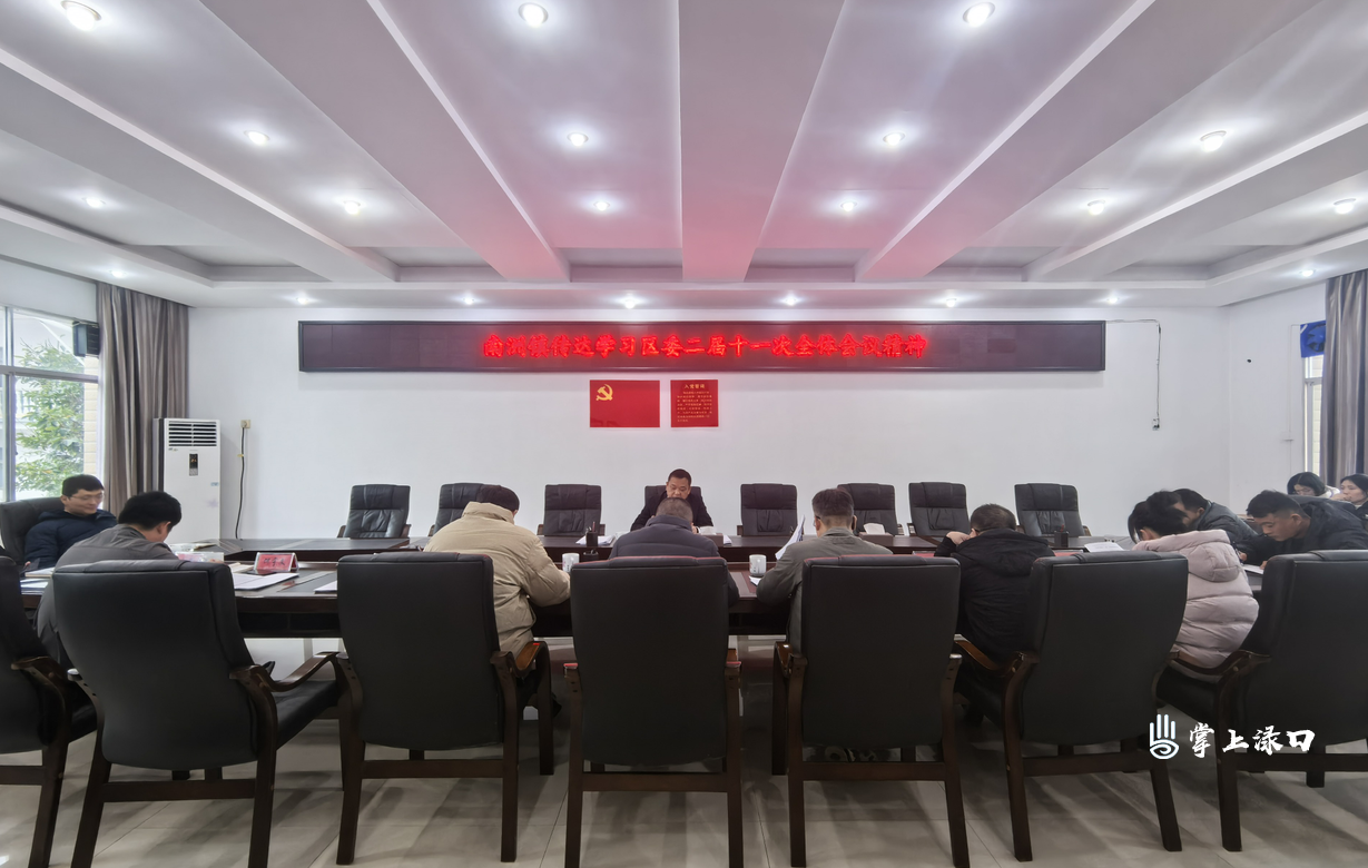 南洲镇传达学习区委二届十一次全会精神