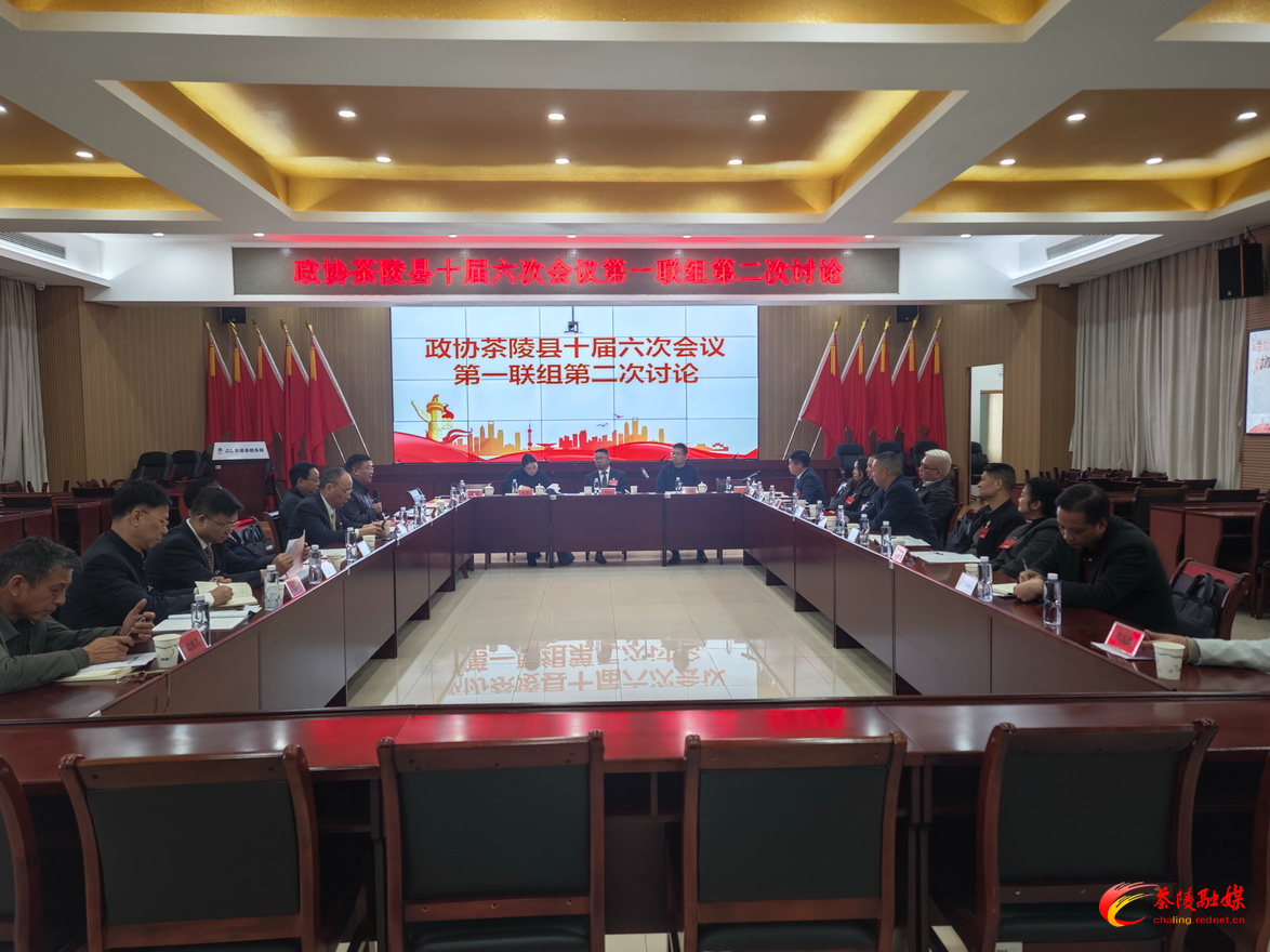 政协茶陵县第十届委员会第六次会议：开展分联组第二次讨论 朱毅强、刘晓伟等领导参加