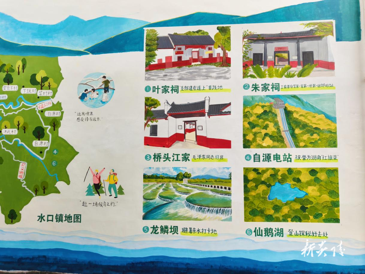 水口镇：墙上绘风景 文明植新田