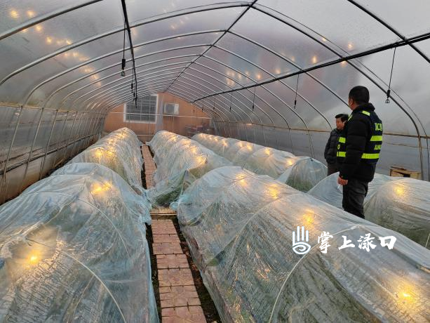 以“动”制“冻” 南洲镇多措并举筑牢低温雨雪防护网