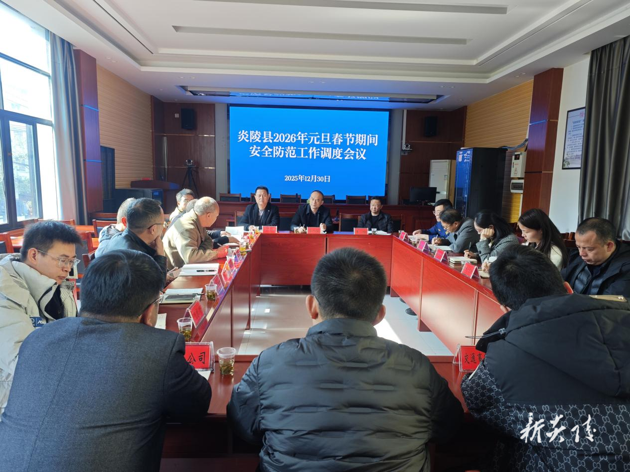 炎陵县召开2026年元旦春节期间安全防范工作调度会议