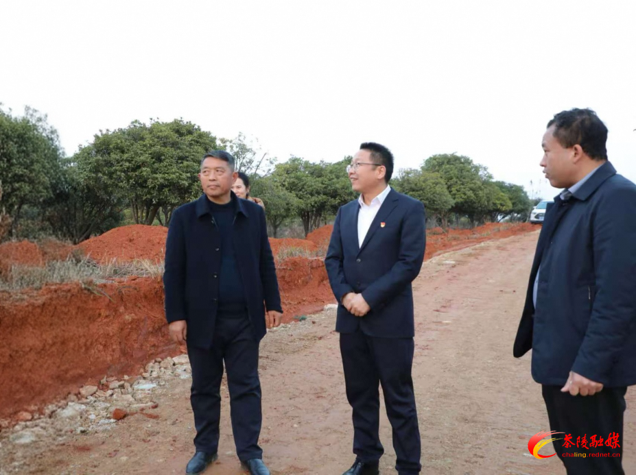 朱毅强调研亚热带水果特色产业园工作