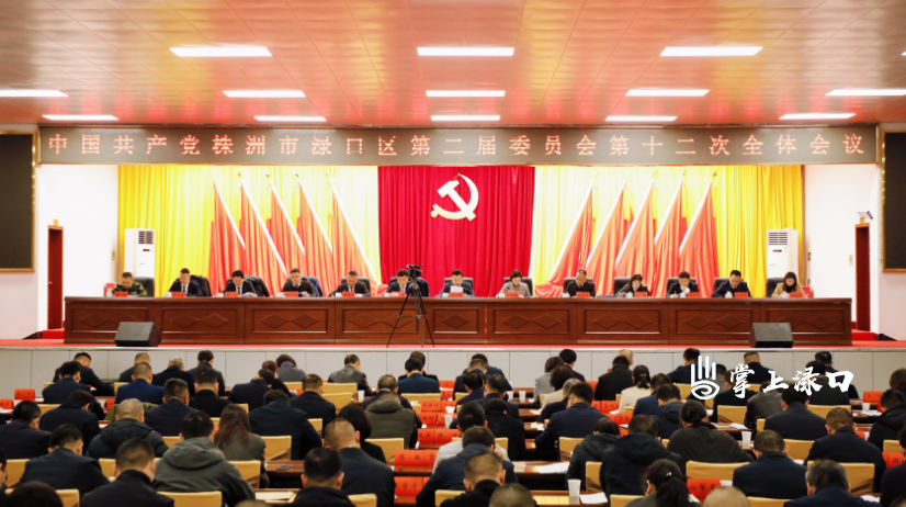 中国共产党株洲市渌口区第二届委员会第十二次全体会议暨区委经济工作会议召开