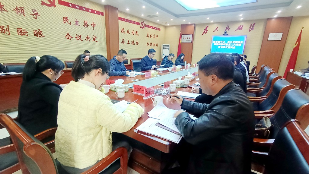 武挪强赴皇图岭镇听取县人大代表意见建议