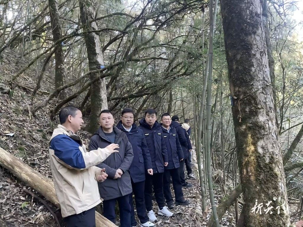 县桃源洞管理局：跨省巡护共筑生态安全屏障