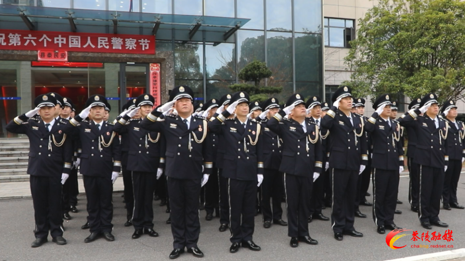 茶陵公安：忠诚铸担当 警徽闪耀护民安