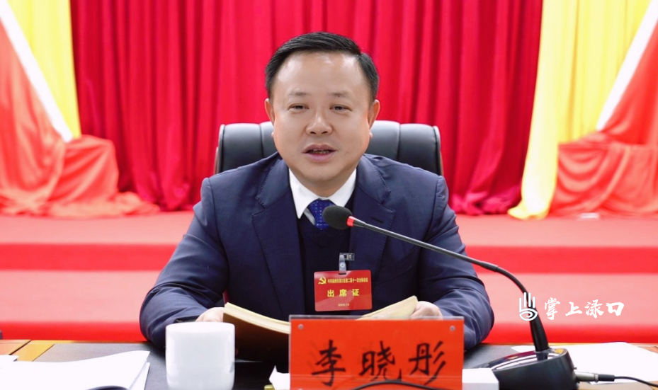 中国共产党株洲市渌口区第二届委员会第十一次全体会议召开