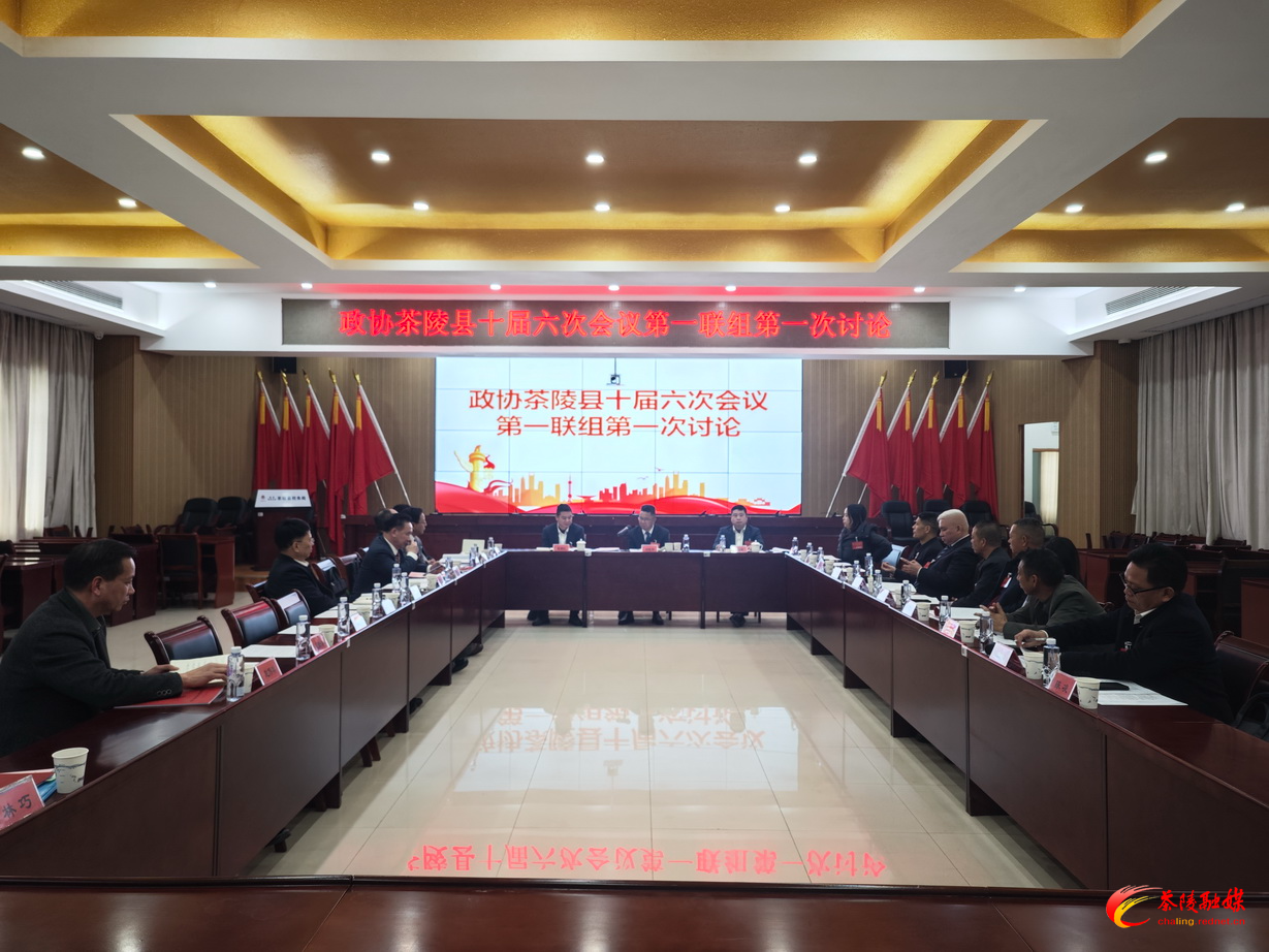 政协茶陵县第十届委员会第六次会议：开展分联组第一次讨论 刘晓伟等领导参加讨论