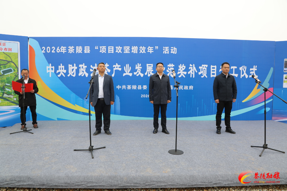 茶陵县中央财政油茶产业发展示范奖补项目开工