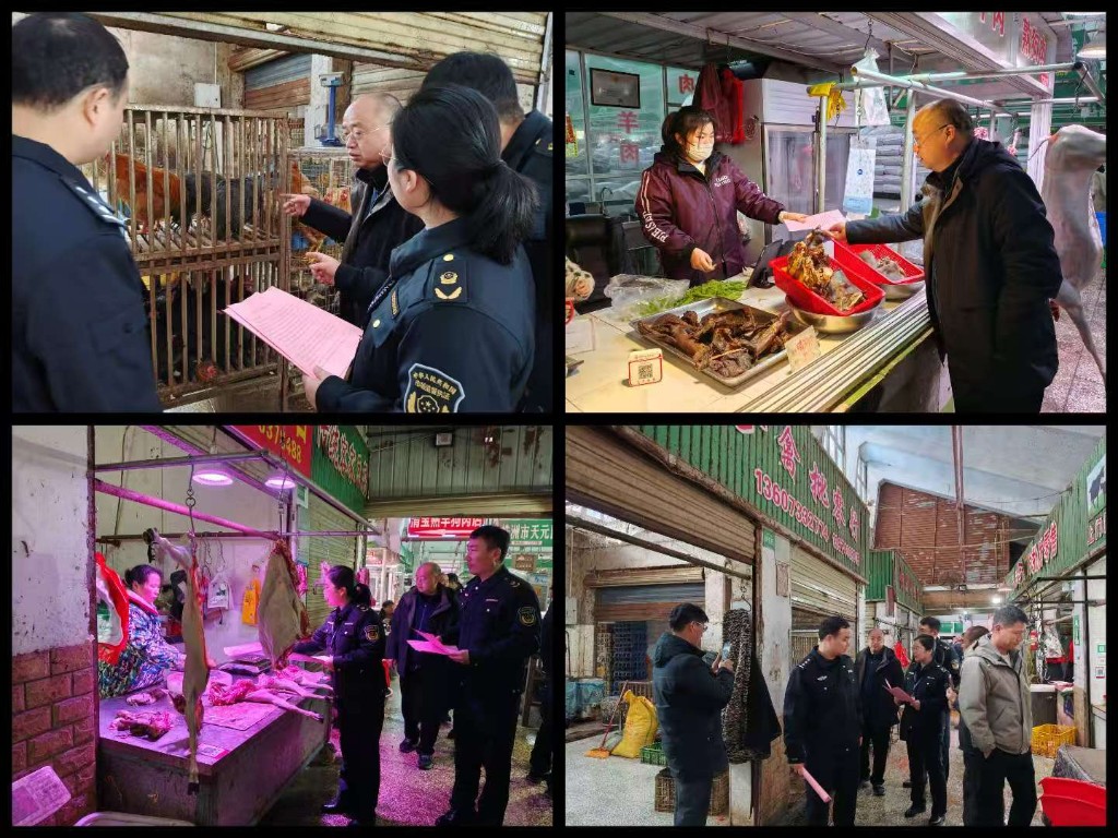 株洲市开展鸟类保护和打击非法猎捕贩卖鸟类等野生动物联合执法行动