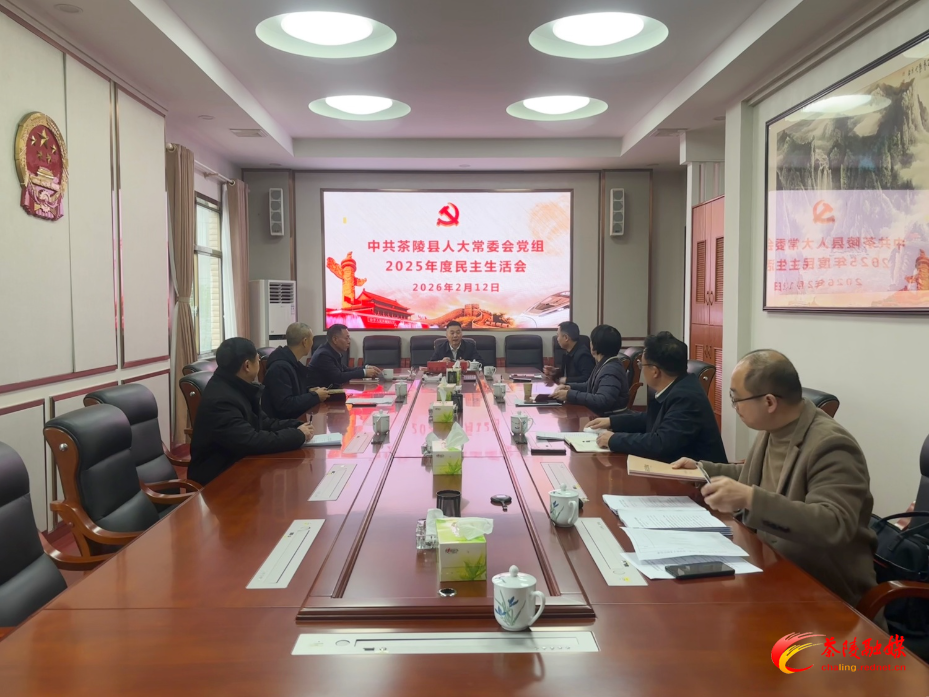 县人大常委会党组召开2025年度民主生活会