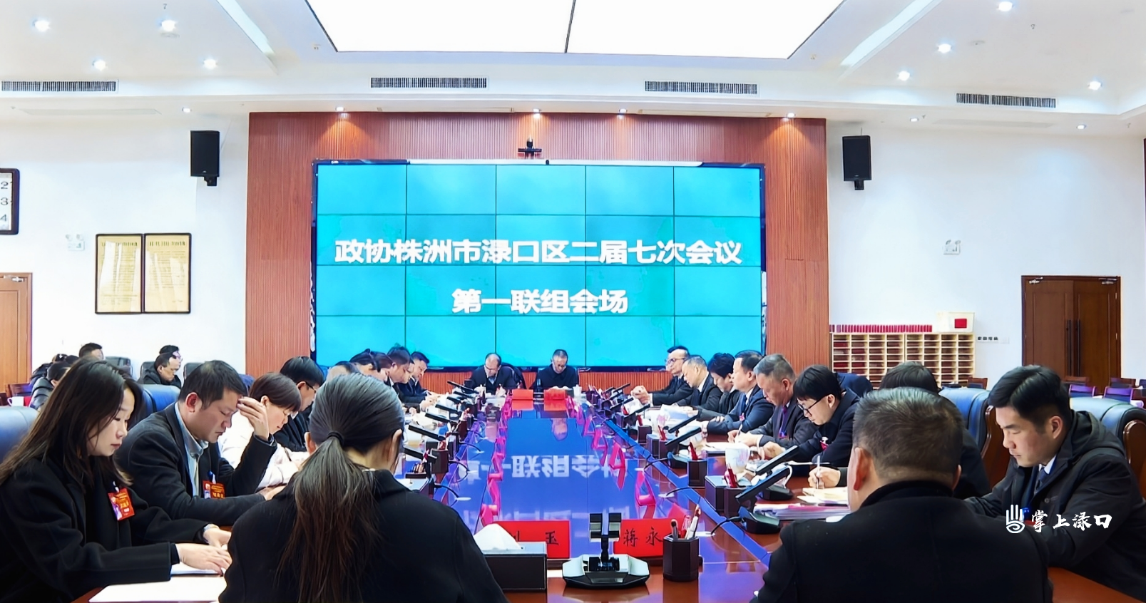 聚焦渌口两会】李晓彤参加政协株洲市渌口区第二届委员会第七次会议第一联组讨论