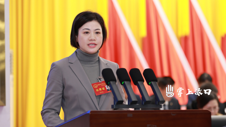 【聚焦渌口两会】株洲市渌口区第二届人民代表大会第六次会议开幕