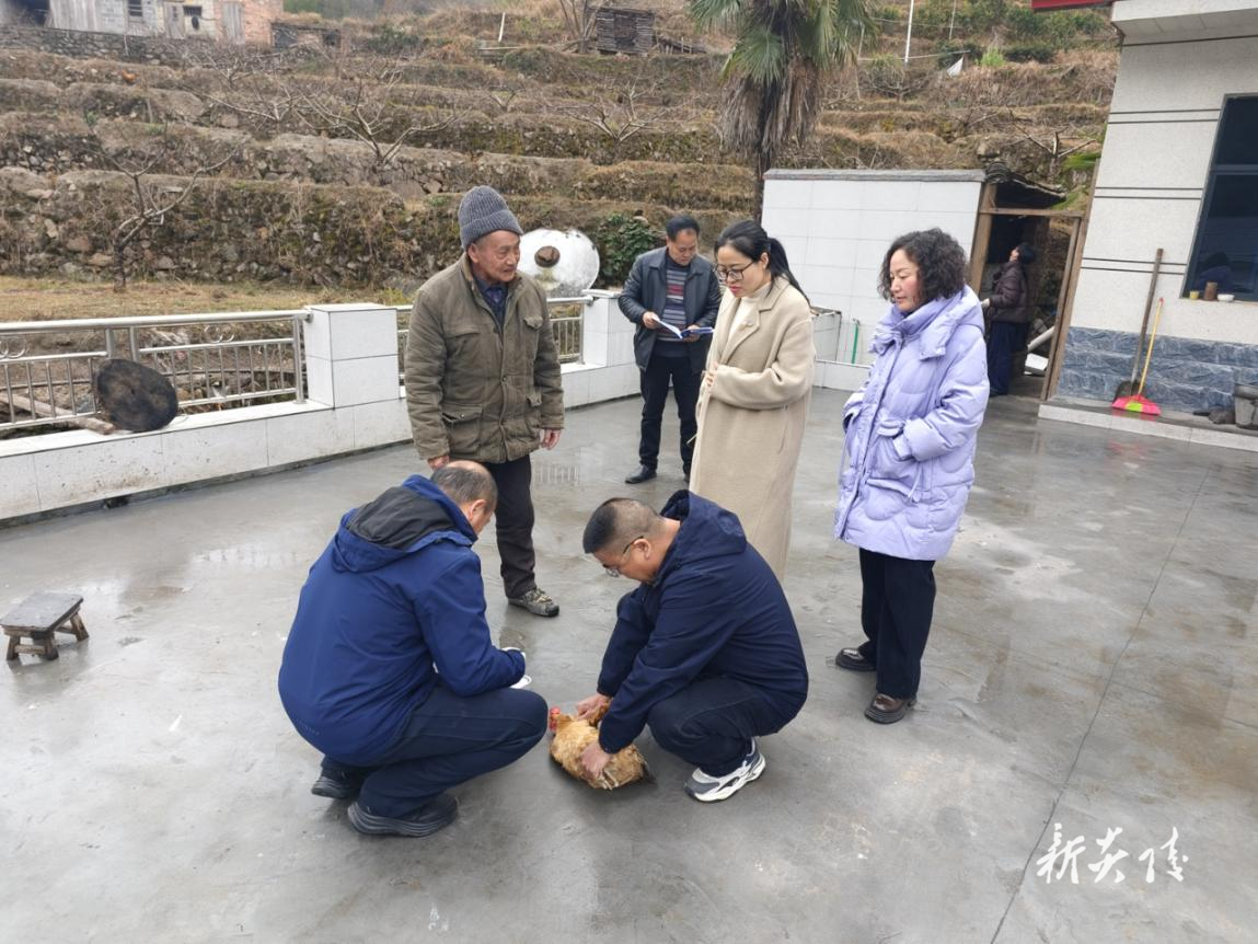 策源乡开展秋季动物防疫验收工作