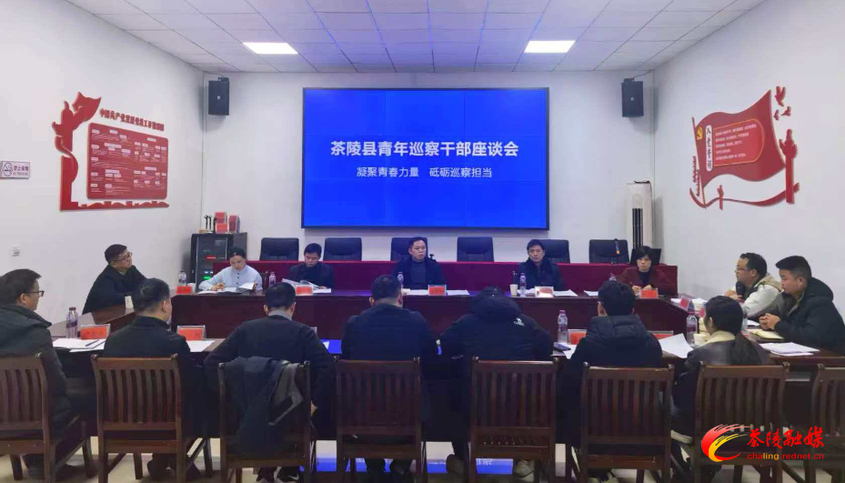 “凝聚青春力量·砥砺巡察担当”青年巡察干部座谈会召开