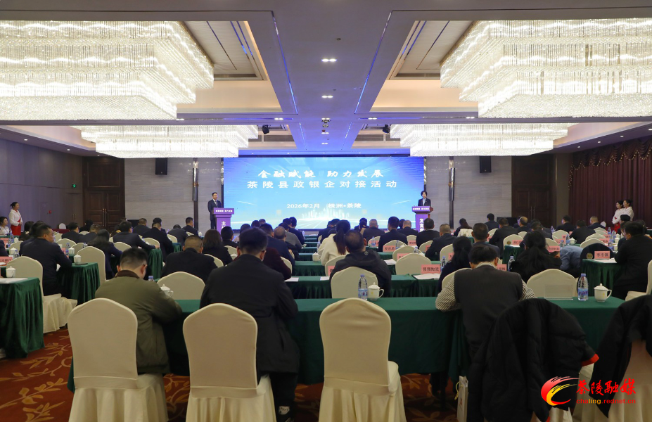 金融赋能助力发展——茶陵县政银企对接活动会议召开
