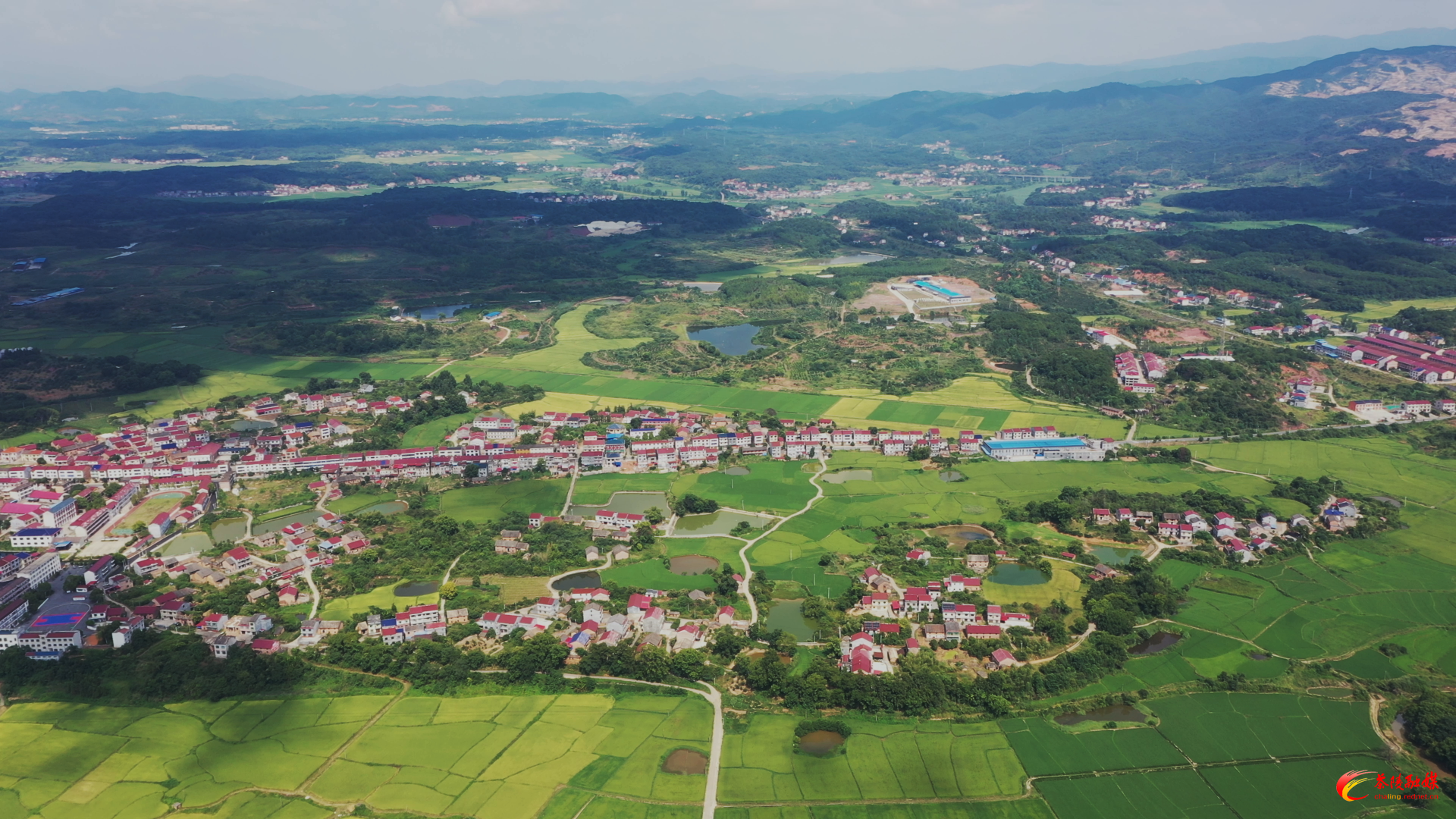 【委员风采】火田镇委员工作室：“小平台”有“大能量” 基层治理的温暖注脚