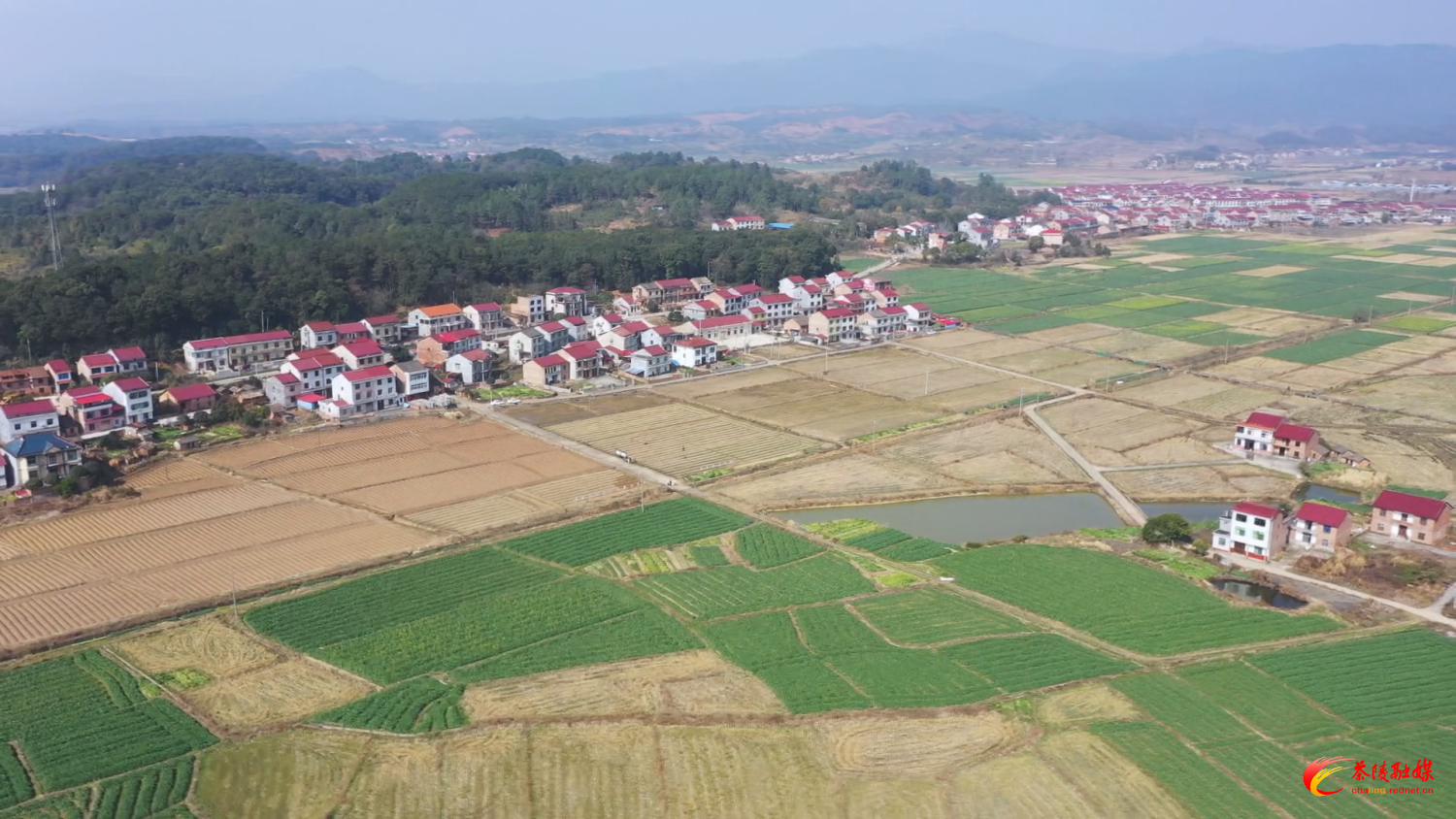 省两会精神润田垄 赤松茸香富农家