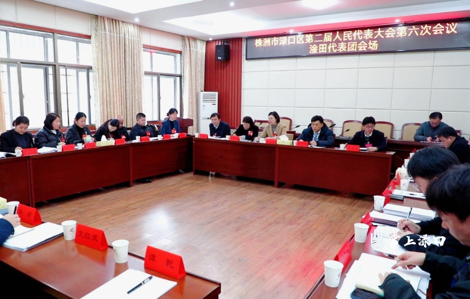 【聚焦渌口两会】赖晓智参加株洲市渌口区第二届人民代表大会第六次会议淦田代表团审议