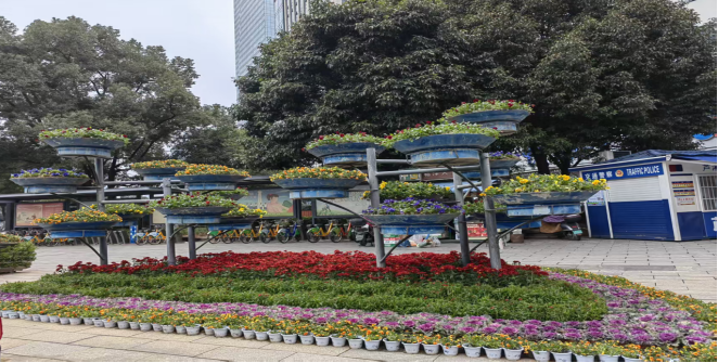 福马贺新岁 年味满芦淞——芦淞城管完成春节氛围营造布展