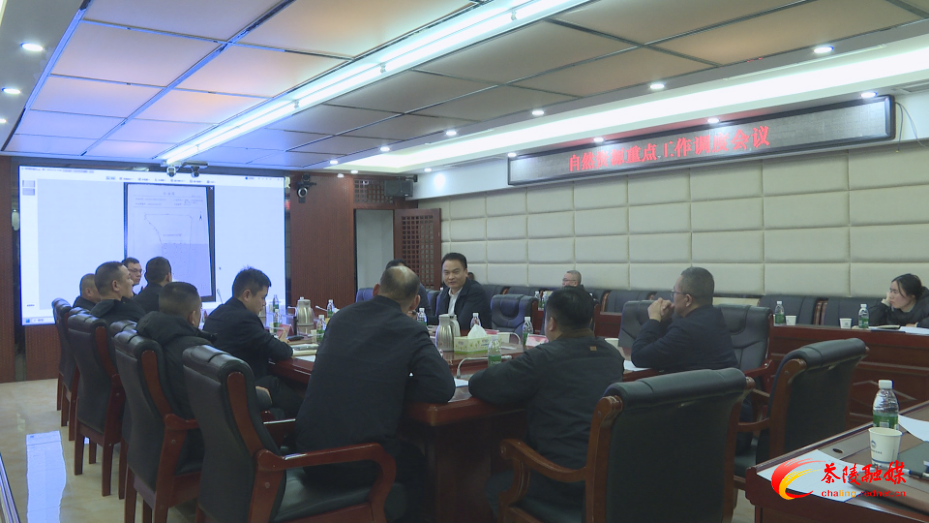 茶陵县调度自然资源重点工作