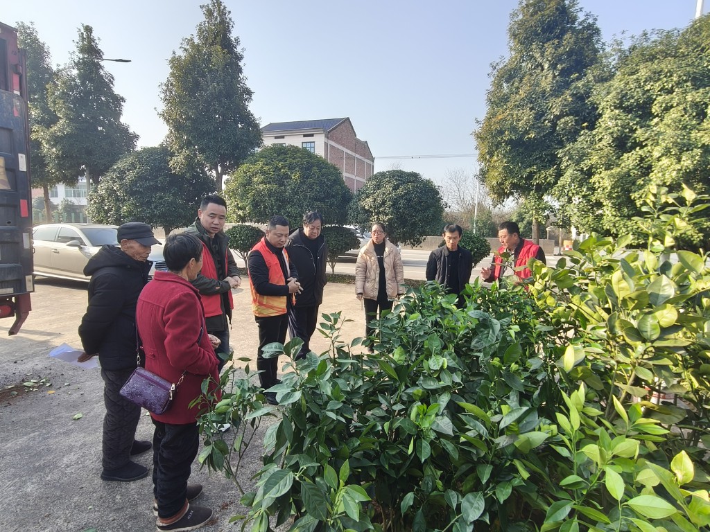 攸县林业局持续推进“身边增绿”试点活动， 送苗下乡助力罗家坪村四旁绿化