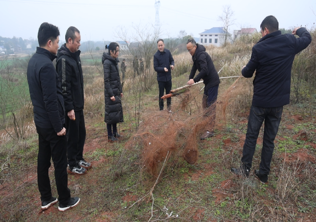 我县多部门联合开展“清网护鸟行动” 全力守护鸟类资源