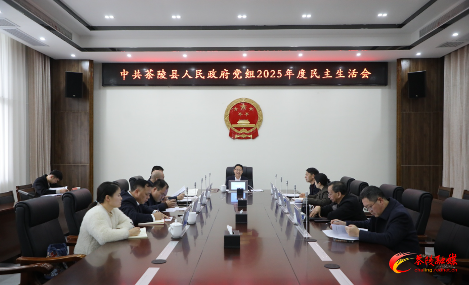 县政府党组召开2025年度民主生活会