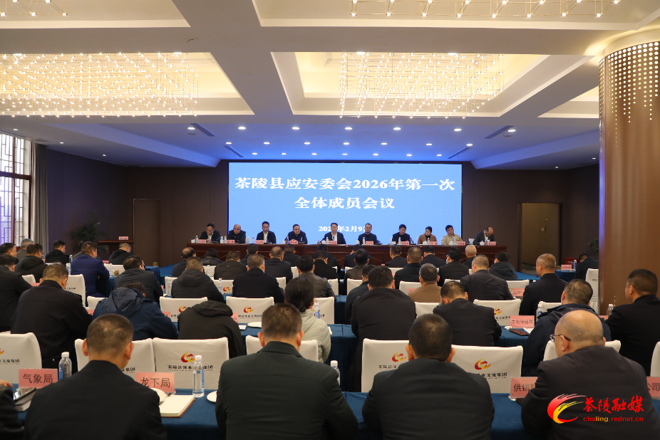 茶陵县应安委会2026年第一次全体成员会议召开