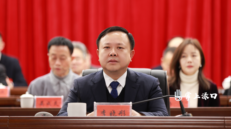 【聚焦渌口两会】株洲市渌口区第二届人民代表大会第六次会议开幕