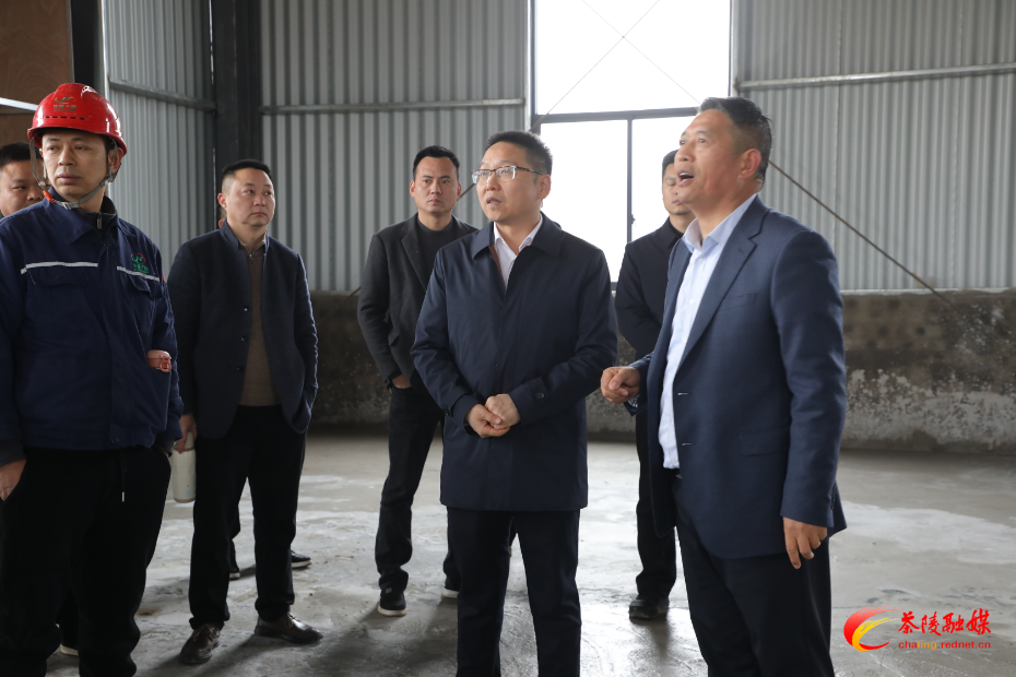 茶陵县中央财政油茶产业发展示范奖补项目开工