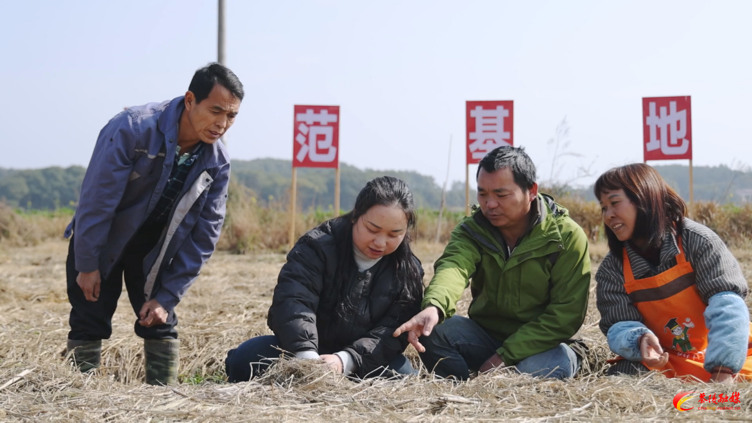 省两会精神润田垄 赤松茸香富农家