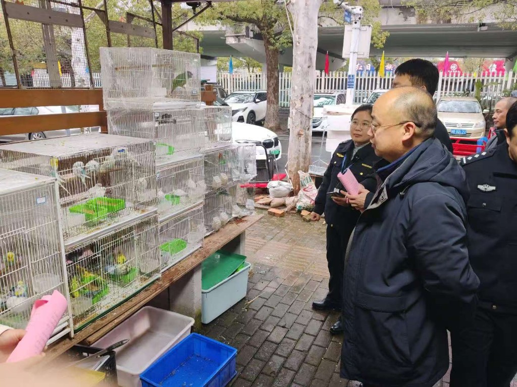 株洲市开展鸟类保护和打击非法猎捕贩卖鸟类等野生动物联合执法行动